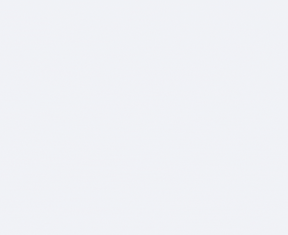 custom input fields